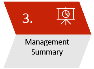 Management Summary